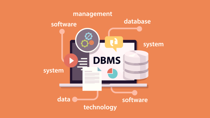 DBMS