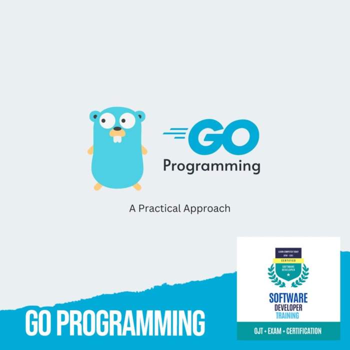 Go Programming