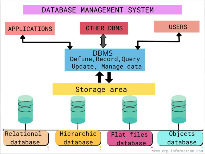 Database management software tools