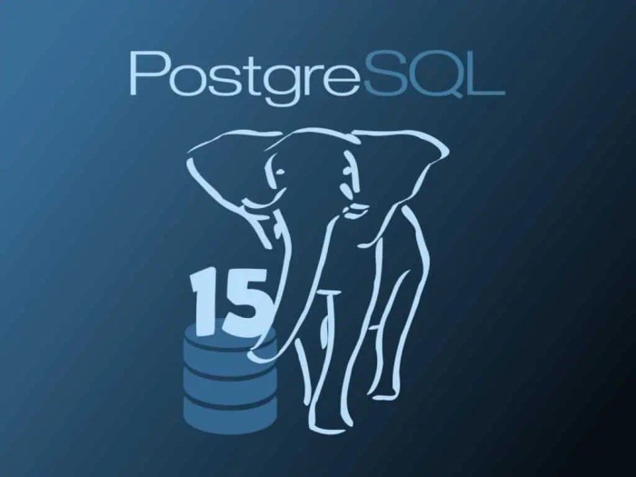 PostgreSQL